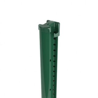 bekafix green post